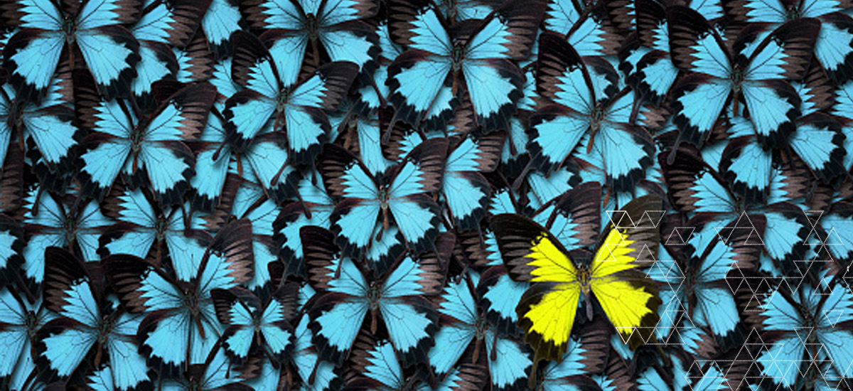 Butterflies. Individual. Change