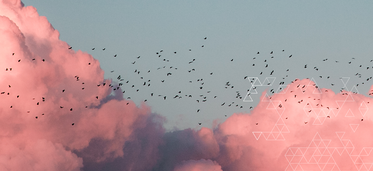 Man typing on laptop